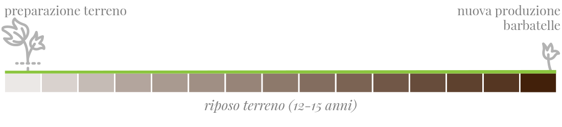 Riposo del terreno Vitigno