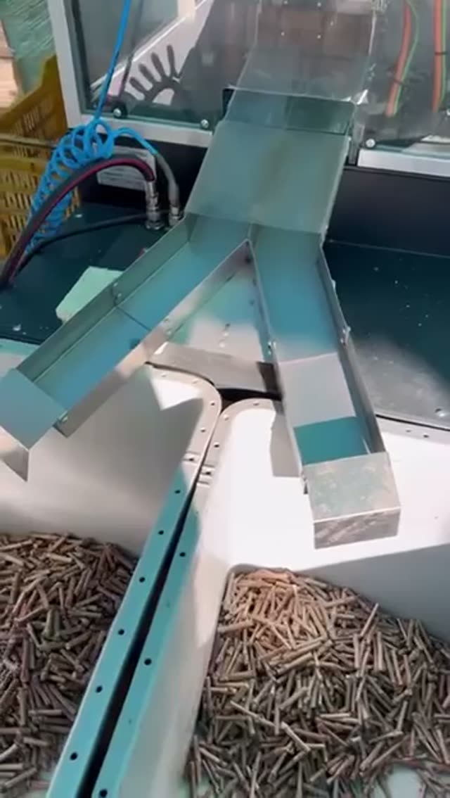 Video vivaio