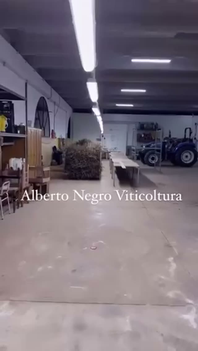 Video vivaio