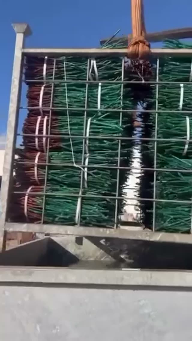 Video vivaio