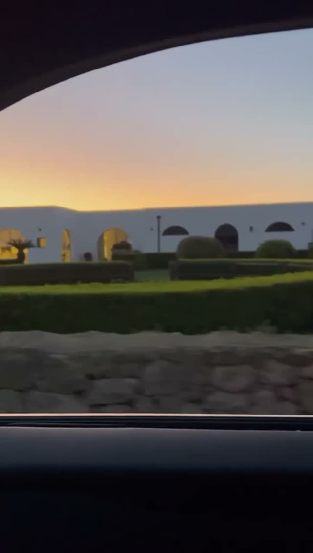 Video vivaio