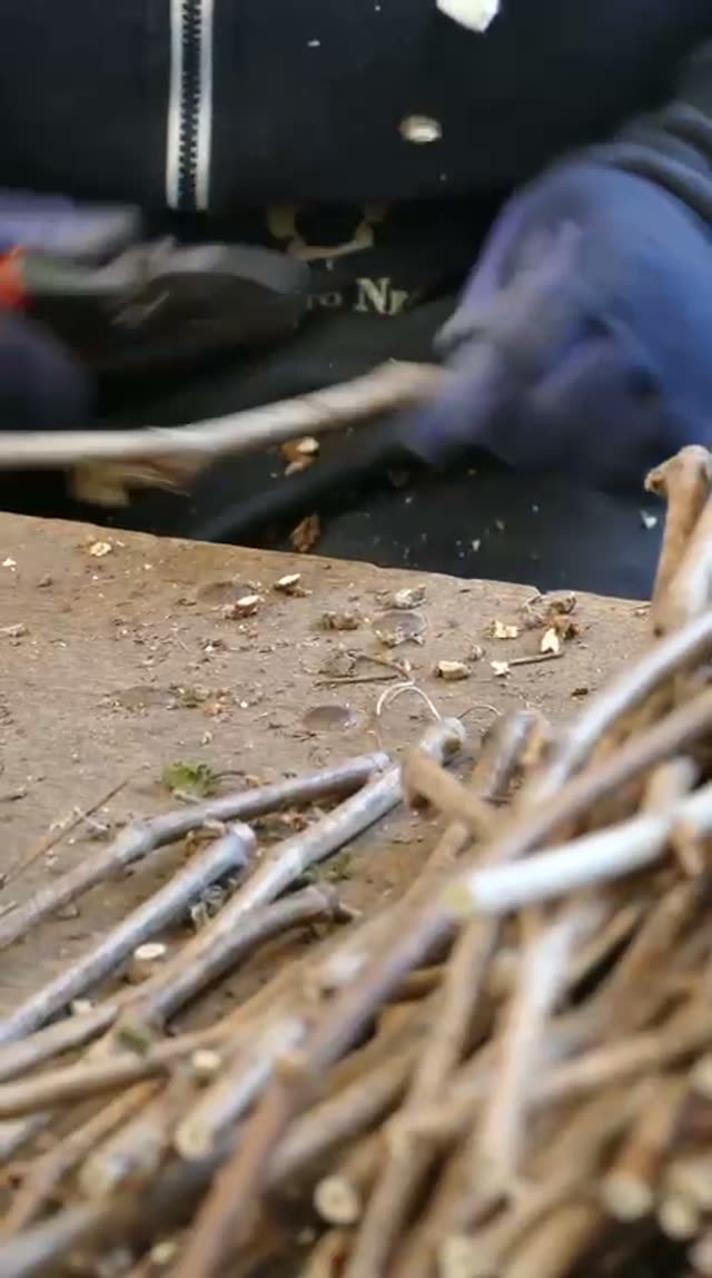 Video vivaio